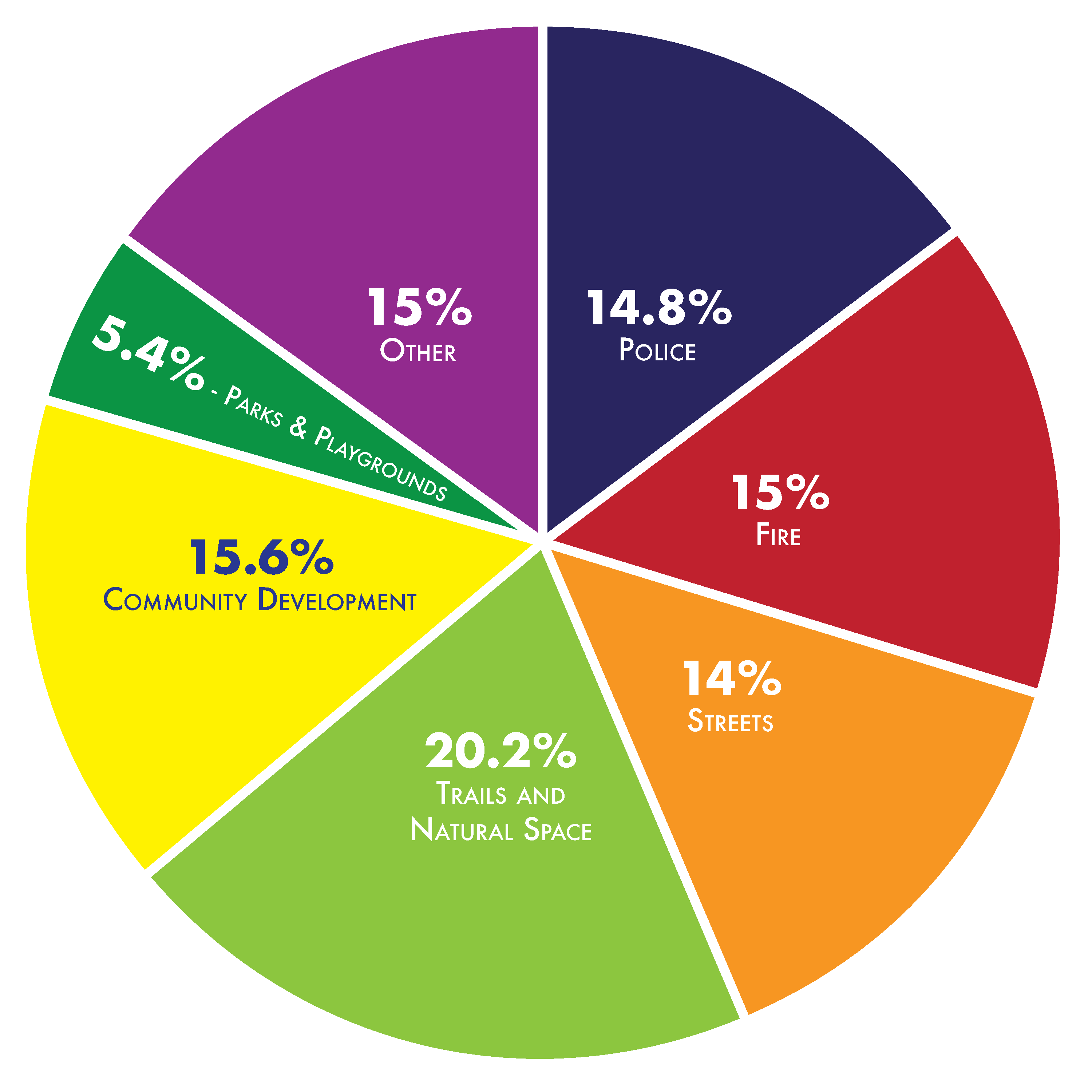 Budget Survey Pie Chart